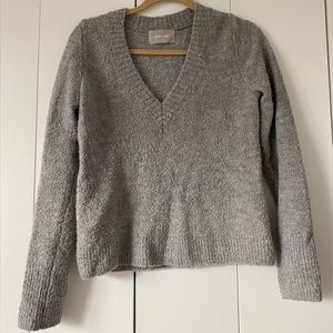 Everlane Cozy V-Neck Sweater
